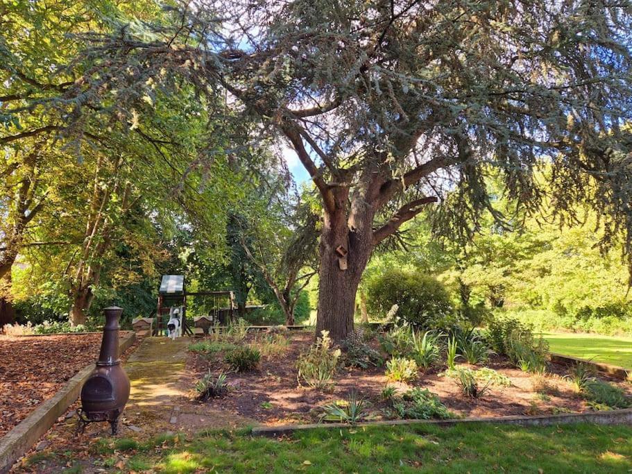 Large 4 Bedroom House On The River Wensum Sleeps 13 Norwich Bagian luar foto